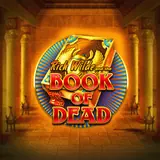 Vignette du machine à sous Book of Dead