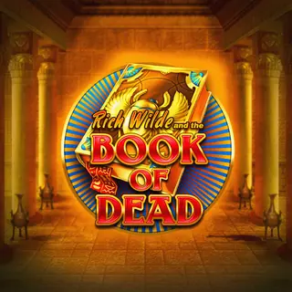 Vignette du machine à sous Book of Dead de Play'n GO